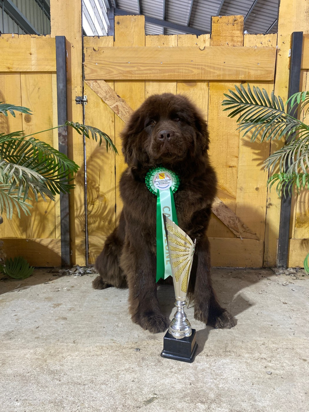 Vanille Du Domaine Des Ours Noirs